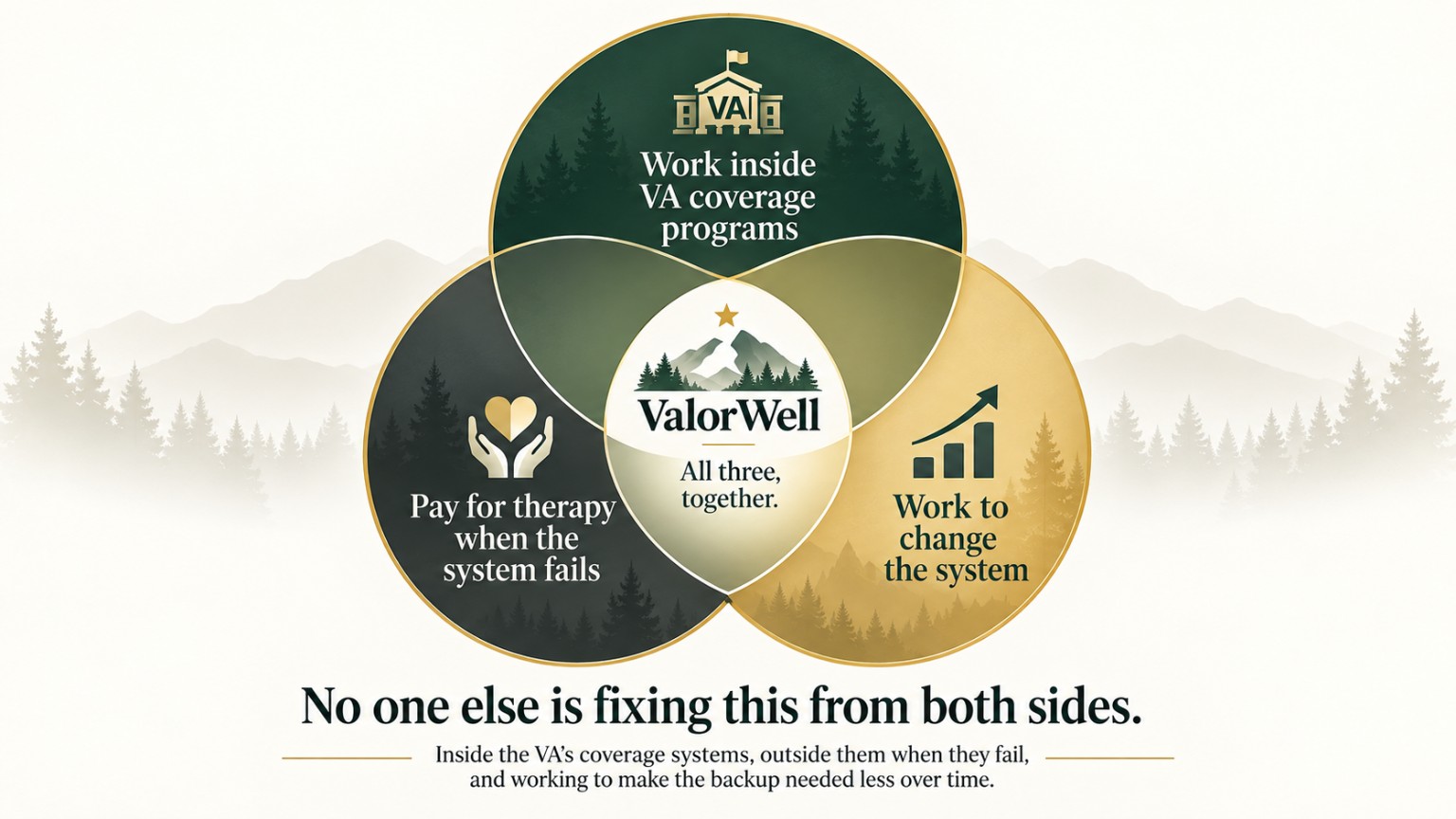 ValorWell's three-part system: working inside VA coverage programs, funding therapy when coverage fails, and changing the system so the backup is needed less over time